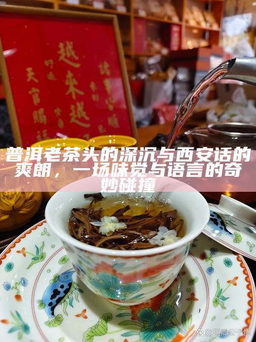 西安茶香，城市韵律中的一抹温润