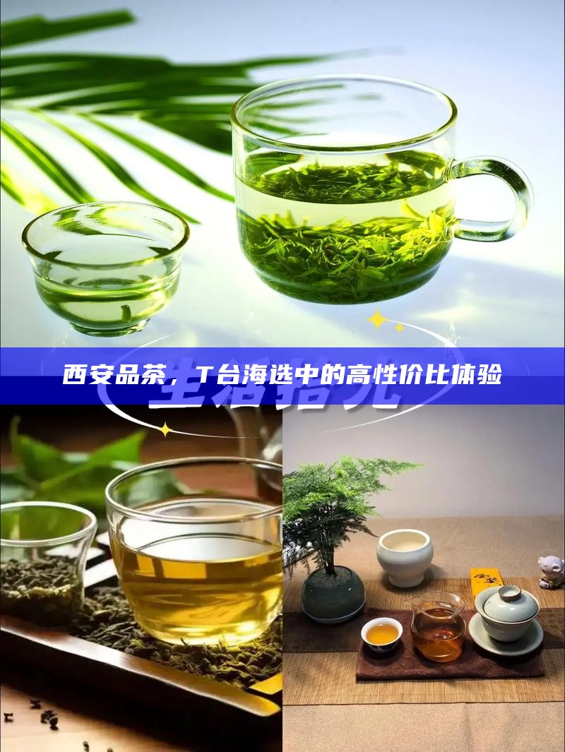 西安品茶，T台海选中的高性价比体验