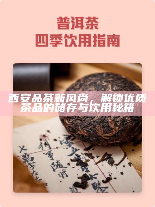 西安品茶新风尚，解锁优质茶品的储存与饮用秘籍