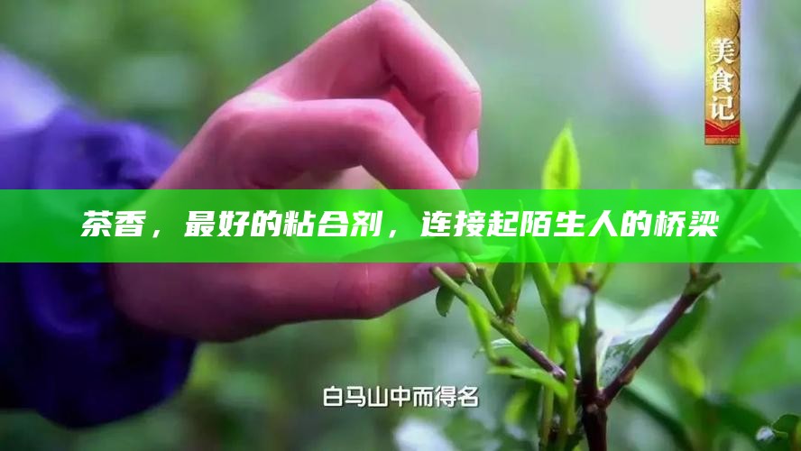 茶香，最好的粘合剂，连接起陌生人的桥梁